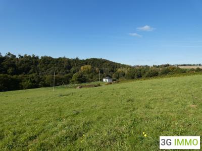 photo For sale House CARHAIX-PLOUGUER 29