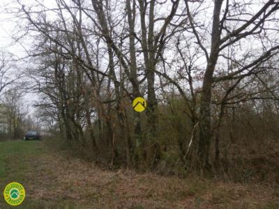 Vente Terrain MEZIERES-EN-BRENNE 36290