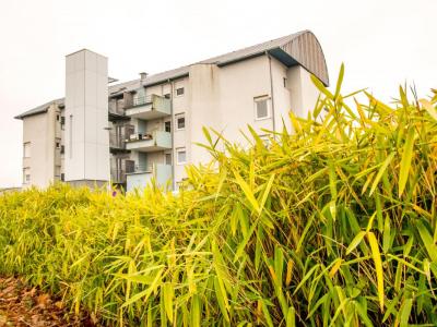 Location Appartement 3 pièces TORCY 71210