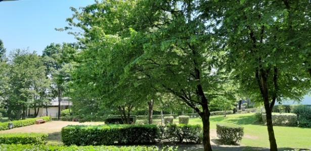 photo For rent Apartment LORMONT 33