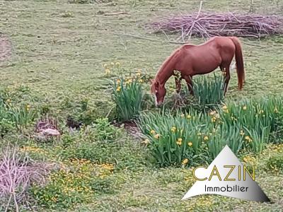 For sale House VIMOUTIERS VIMOUTIERS