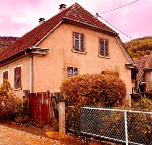 photo For sale House SAINT-AMARIN 68