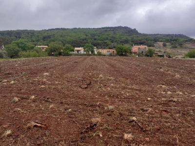 Vente Terrain OCTON 34800