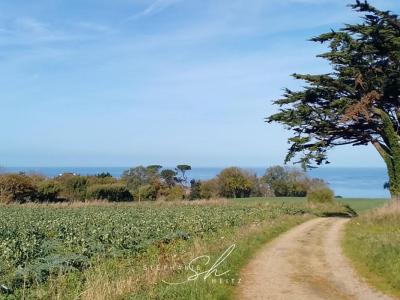 Vente Maison 4 pices PLOUGASNOU 29630