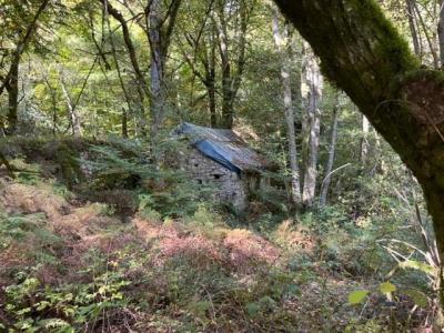 Vente Prestige CHAUMEIL  19