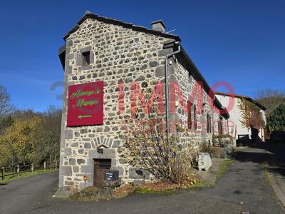 Vente Commerce MAZAYE 63230