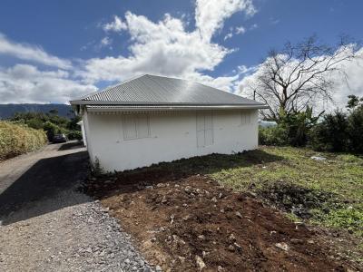 Location Maison PLAINE-DES-PALMISTES 