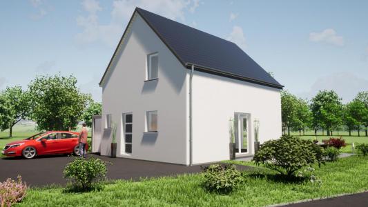 Vente Maison 5 pièces REININGUE 68950