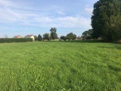 For sale House DROISY  74