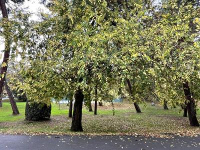 Vente Appartement 2 pièces BOUSCAT 33110