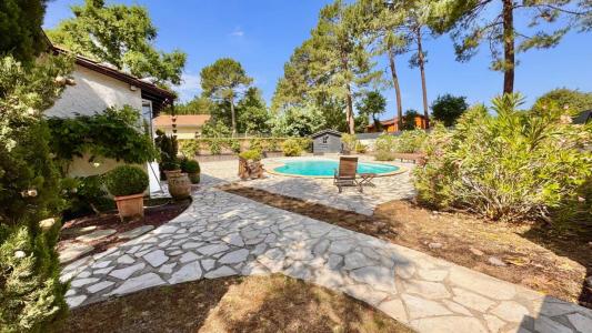 Vente Maison 7 pices LEGE-CAP-FERRET 33950