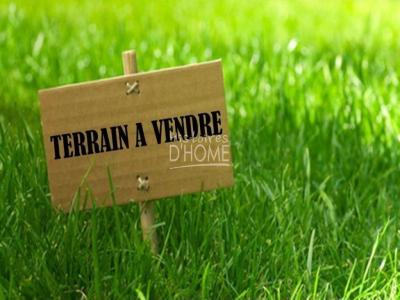 Vente Terrain BERNAY-VILBERT 77540