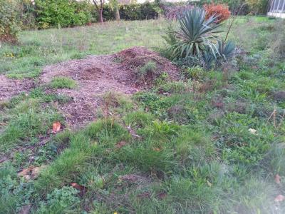 Vente Terrain CARBON-BLANC 33560