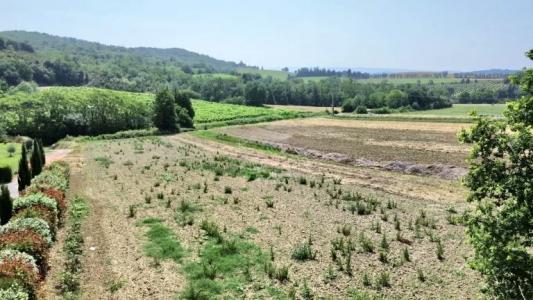 Vente Terrain SAINT-MARTIN-DE-VILLEREGLAN 11300