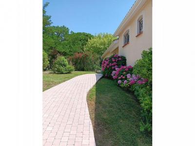 Vente Maison 5 pièces AIGREFEUILLE 31280