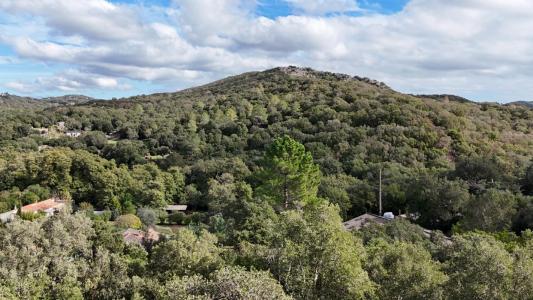 Vente Maison 3 pièces PORTO-VECCHIO 20137