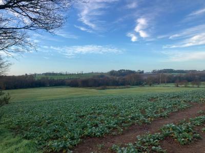 Vente Domaine agricole PLUVIGNER 56330