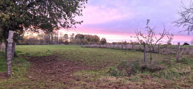 Vente Maison 9 pices WASSY 52130