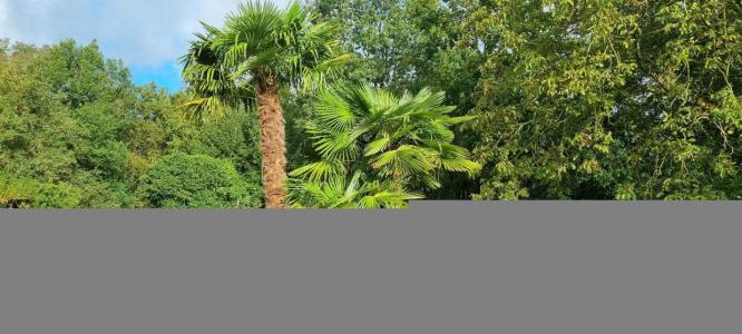 Vente Maison 9 pices VENDOME 41100