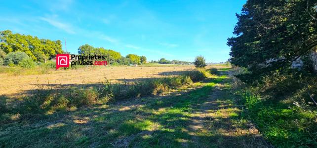 photo For sale Land ELNE 66