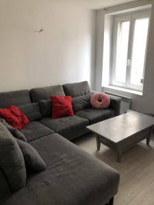 For rent Apartment SAINT-NICOLAS-DE-PORT 