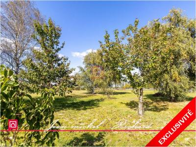 photo For sale Land BILLY 41