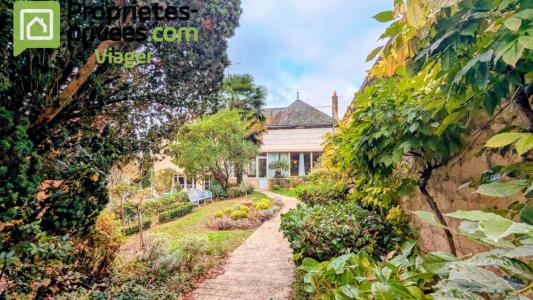 photo  Prestigious house BOURGUEIL 37