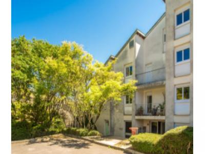 Location Appartement CRUZILLE  71