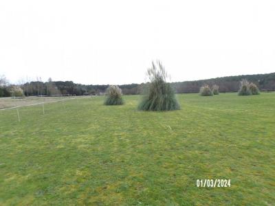 photo For sale Land SOUSTONS 40