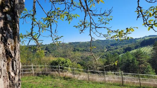 Vente Maison 6 pièces PLAZAC 24580