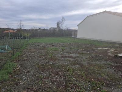photo For sale Land CHEMILLE 49