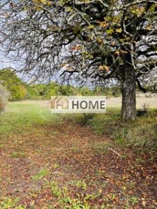photo For sale Land CREON 33