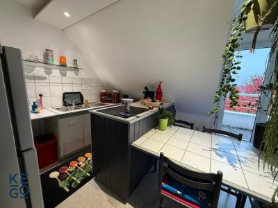 Location Appartement 3 pièces ESCHAU 67114