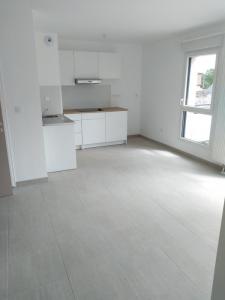 Location Appartement 2 pices SAINT-JEAN-DE-BRAYE 45800