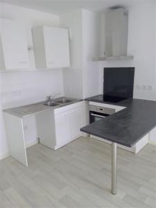 Location Appartement 3 pices SAINT-JEAN-DE-BRAYE 45800