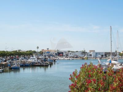 Vente Appartement 2 pièces GRAU-DU-ROI 30240