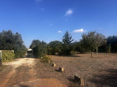 photo For sale Land SAINT-GILLES 30