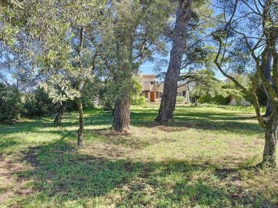 Vente Maison MORIERES-LES-AVIGNON 
