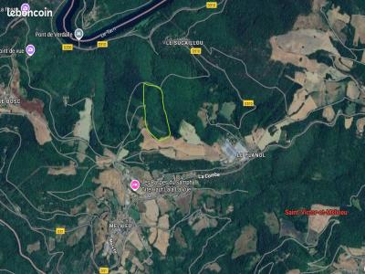Vente Domaine forestier SAINT-VICTOR-ET-MELVIEU  12