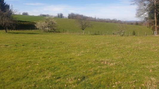 Vente Terrain SAINT-MARTIN-TERRESSUS 87400