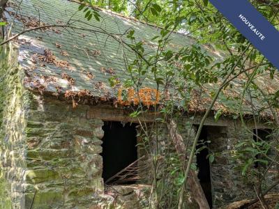 Vente Maison 2 pièces LAZ 29520