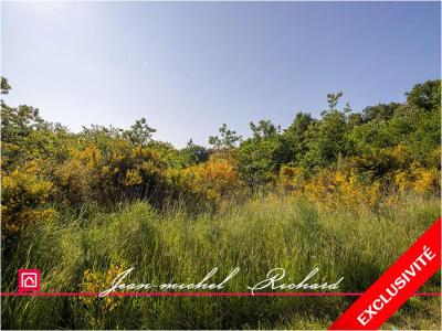 photo For sale Land CHEMERY 41