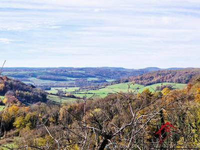 For sale House COIFFY-LE-HAUT  52