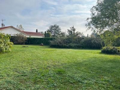 Vente Terrain SAINT-ROMAIN-DE-JALIONAS 38460