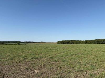Vente Terrain NEUILLAY-LES-BOIS 36500