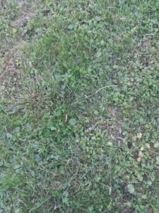 Vente Terrain CAMBLANES-ET-MEYNAC 33360