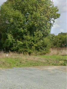 Vente Terrain VOUHE 17700