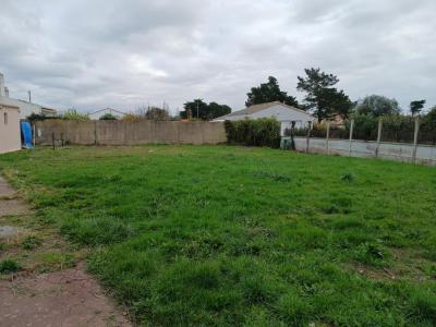 Vente Terrain ILE-D'OLONNE 85340