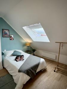 Location Appartement 6 pièces LILLE 59000