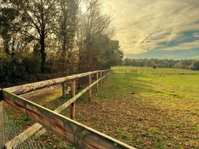 Vente Prestige CHAPELLE-SAINT-LAUD 49140